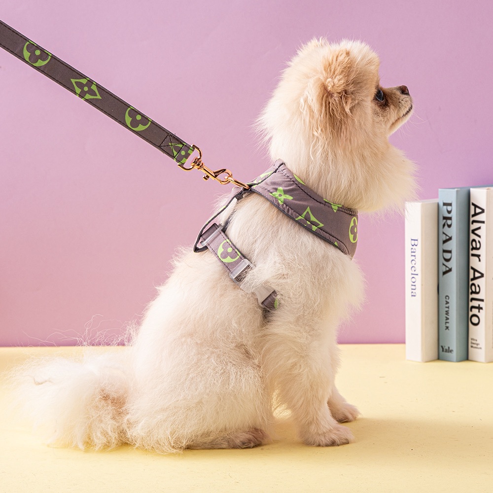 Elvie harness for dogs and cats
